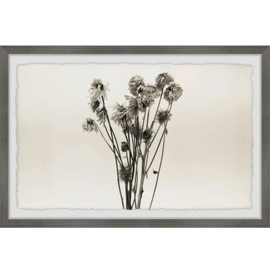 Home Goods * | Brand New Gracewood Hollow Dandelion In Grey Framed Painting Print