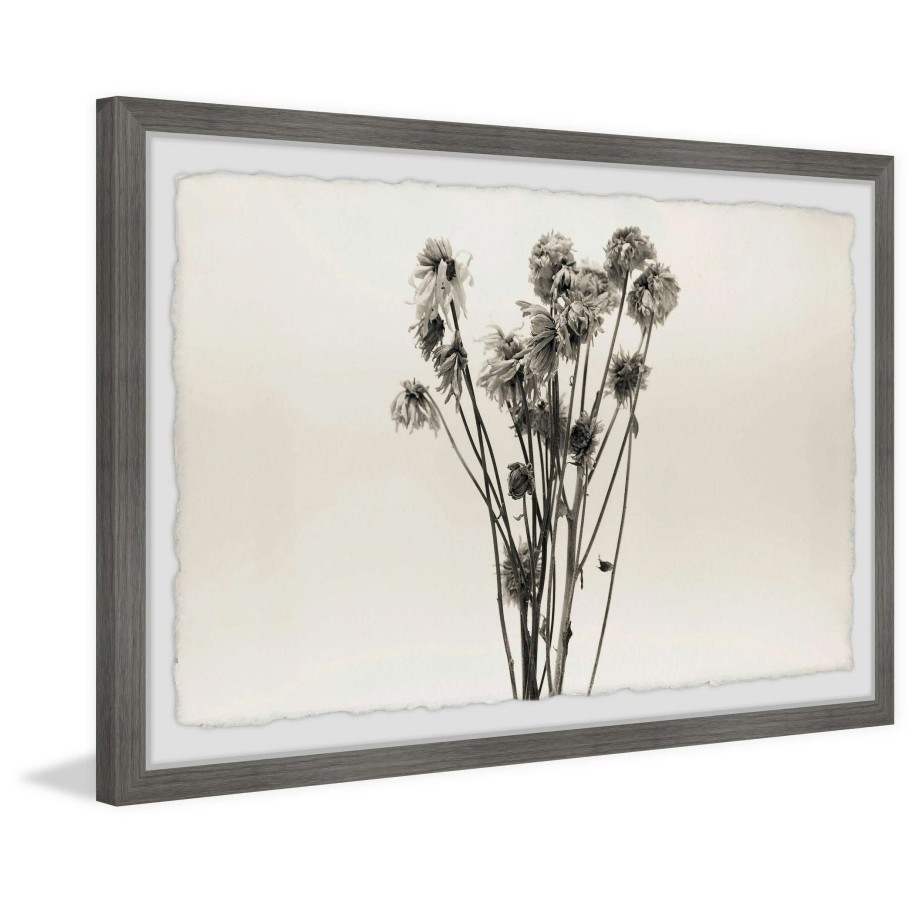 Home Goods * | Brand New Gracewood Hollow Dandelion In Grey Framed Painting Print