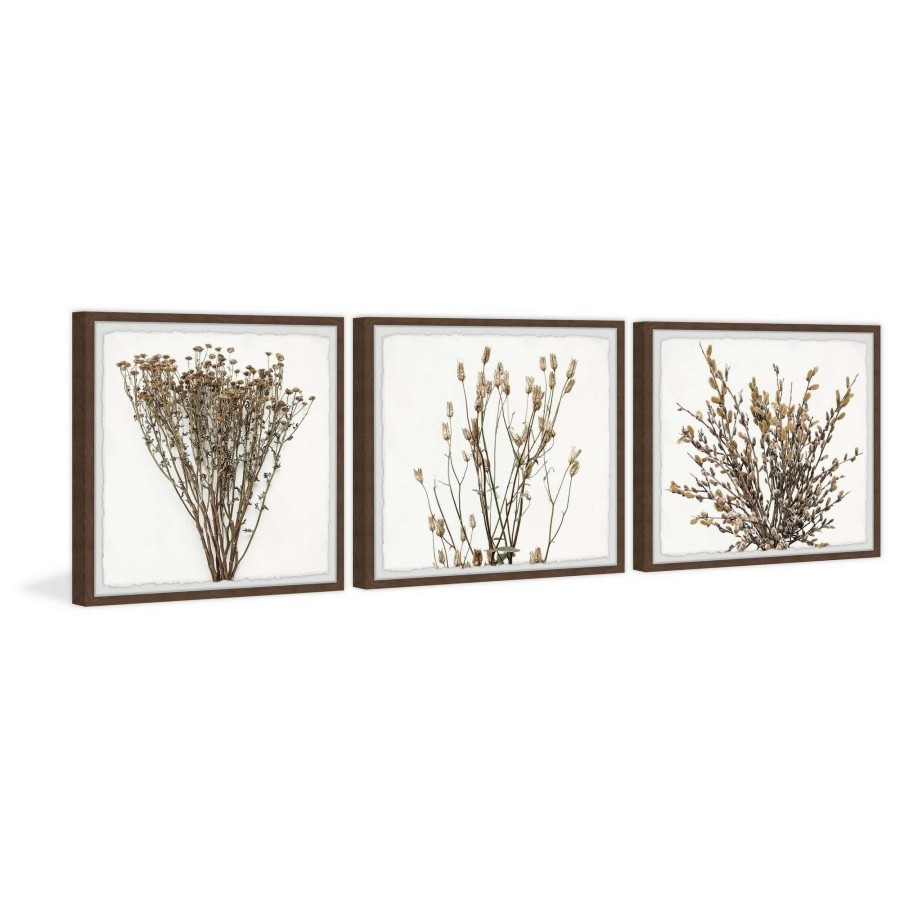 Home Goods * | Best Reviews Of Gracewood Hollow Brown Branches Wall Triptych