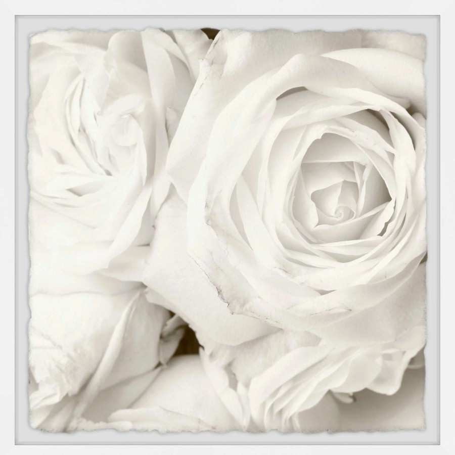 Home Goods * | Top 10 Gracewood Hollow Creamy White Roses Framed Painting Print