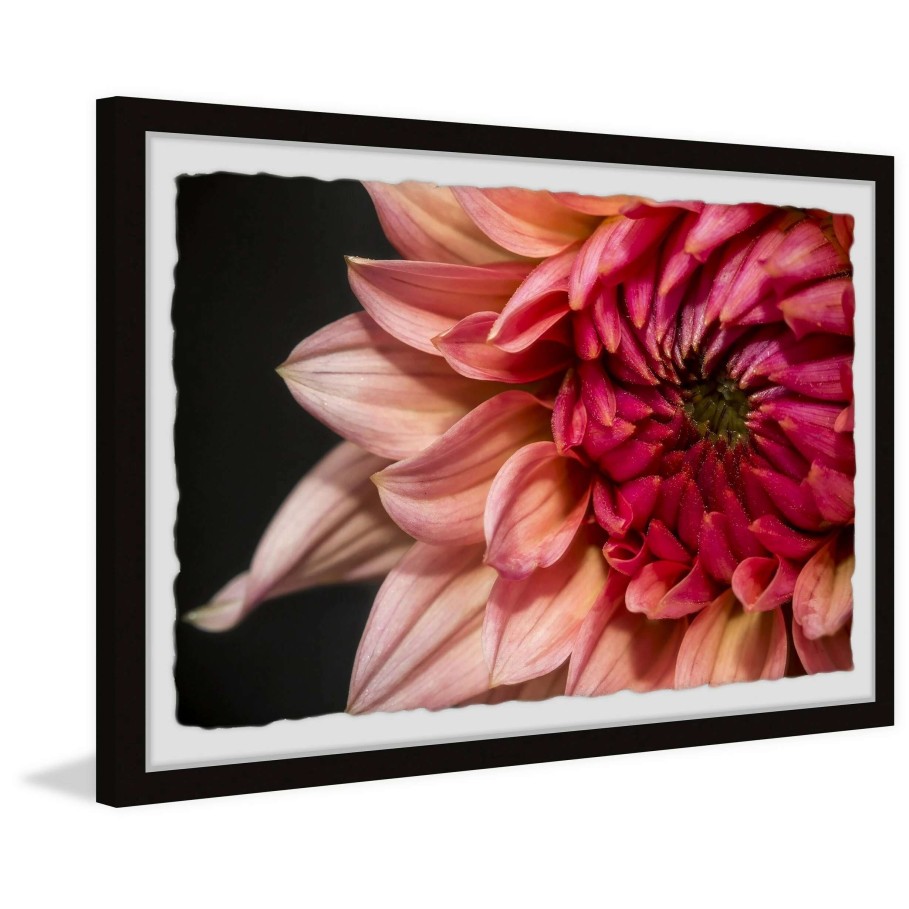 Home Goods * | Wholesale Gracewood Hollow Diverse Dahlia Framed Painting Print