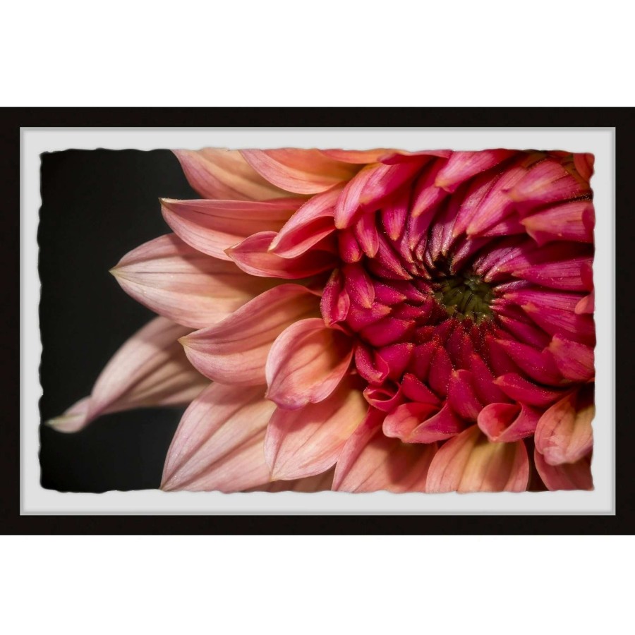 Home Goods * | Wholesale Gracewood Hollow Diverse Dahlia Framed Painting Print