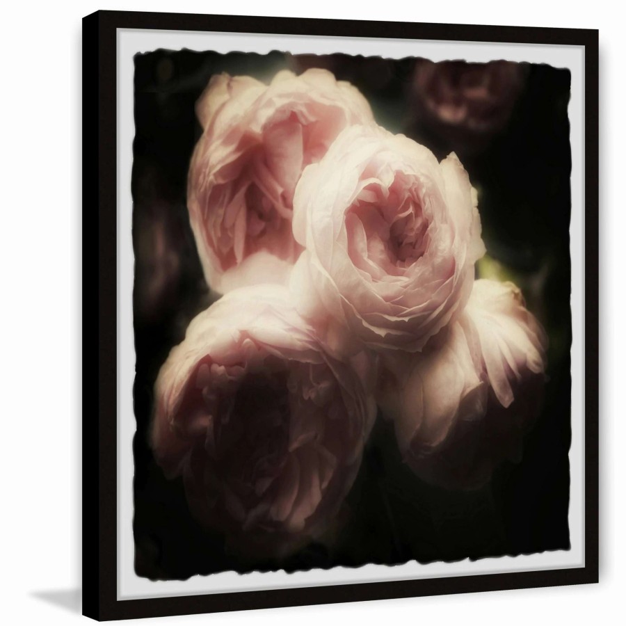 Home Goods * | Flash Sale Gracewood Hollow Roses And Shadows Framed Painting Print