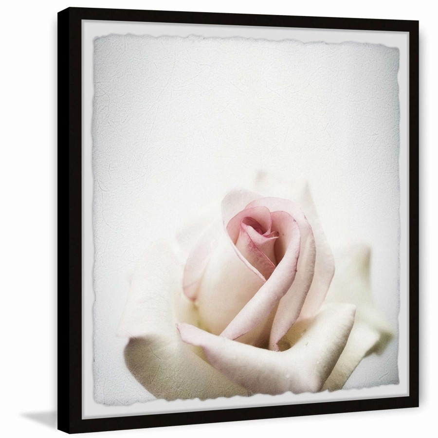 Home Goods * | Best Pirce Gracewood Hollow White Rose Closeup Framed Painting Print