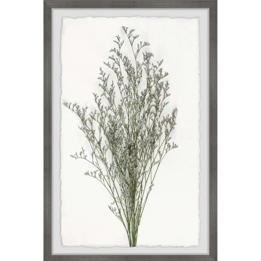 Home Goods * | Cheap Gracewood Hollow Wild Herbs Framed Painting Print