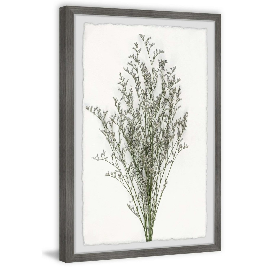 Home Goods * | Cheap Gracewood Hollow Wild Herbs Framed Painting Print