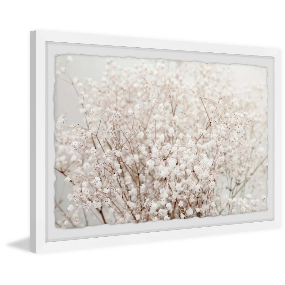 Home Goods * | Best Sale Gracewood Hollow Cotton Bush Framed Painting Print